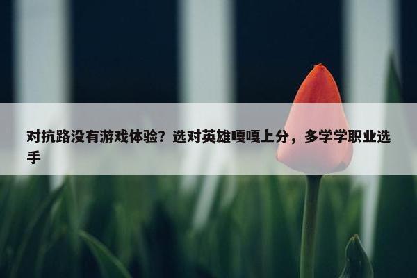 对抗路没有游戏体验？选对英雄嘎嘎上分，多学学职业选手