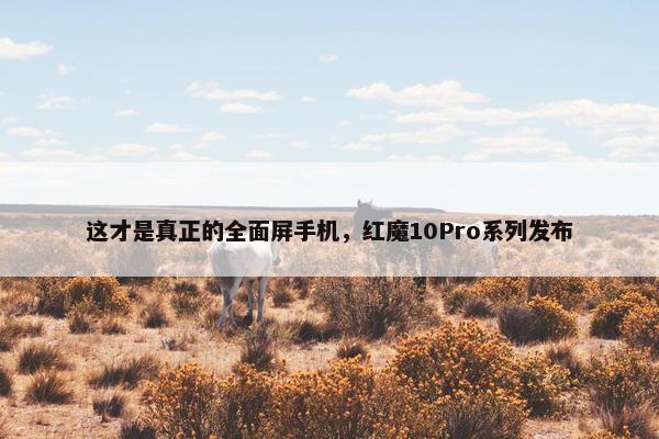 这才是真正的全面屏手机，红魔10Pro系列发布