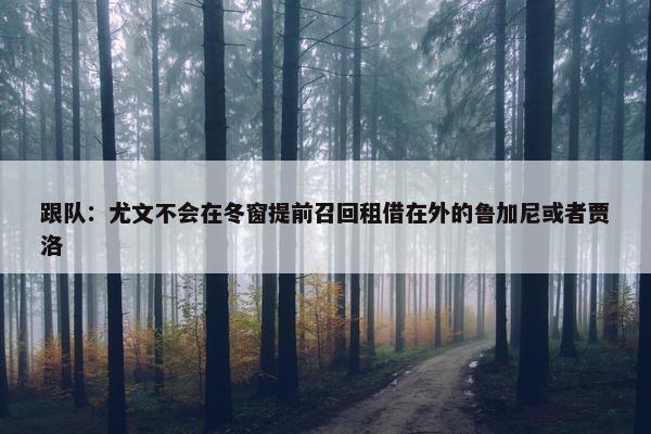 跟队：尤文不会在冬窗提前召回租借在外的鲁加尼或者贾洛