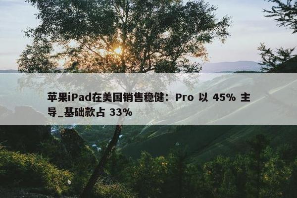 苹果iPad在美国销售稳健：Pro 以 45% 主导_基础款占 33%