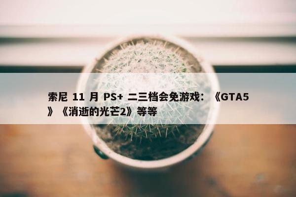 索尼 11 月 PS+ 二三档会免游戏：《GTA5》《消逝的光芒2》等等