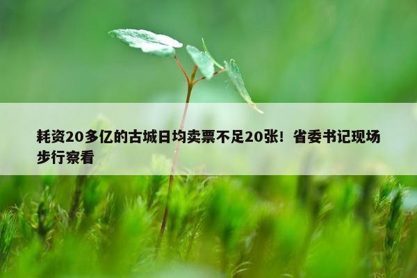 耗资20多亿的古城日均卖票不足20张！省委书记现场步行察看