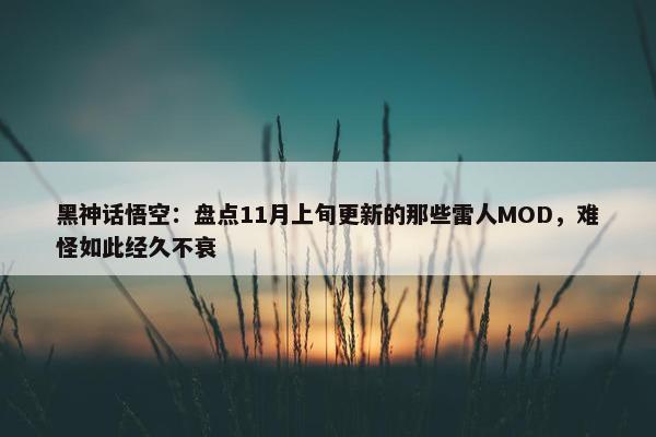 黑神话悟空：盘点11月上旬更新的那些雷人MOD，难怪如此经久不衰