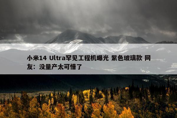 小米14 Ultra罕见工程机曝光 紫色玻璃款 网友：没量产太可惜了