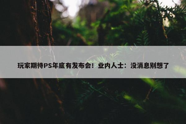 玩家期待PS年底有发布会！业内人士：没消息别想了