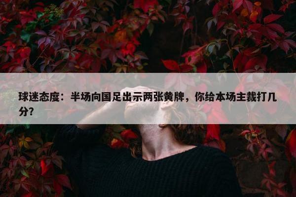 球迷态度：半场向国足出示两张黄牌，你给本场主裁打几分？