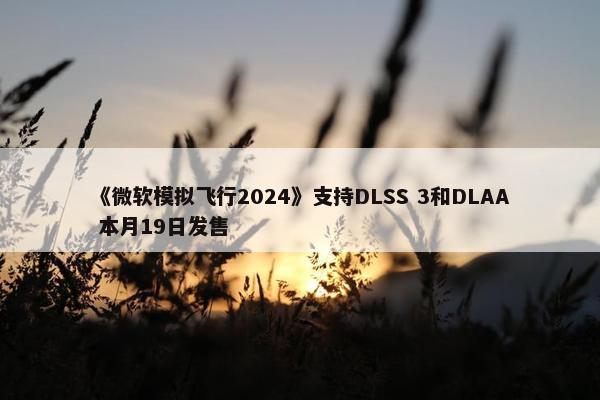 《微软模拟飞行2024》支持DLSS 3和DLAA 本月19日发售