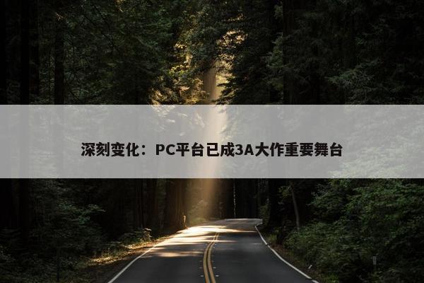 深刻变化：PC平台已成3A大作重要舞台