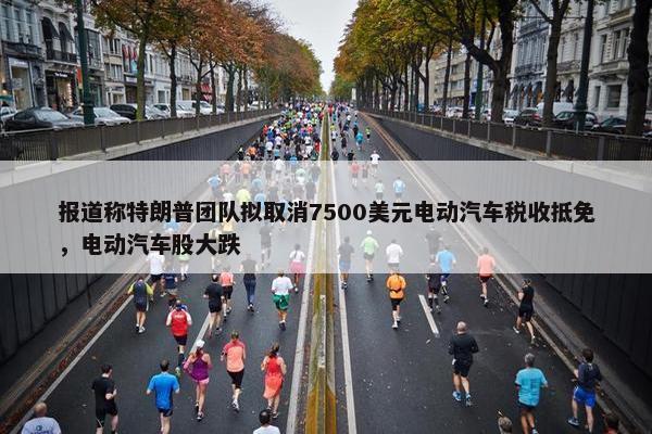 报道称特朗普团队拟取消7500美元电动汽车税收抵免，电动汽车股大跌