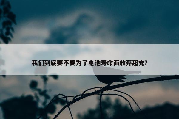 我们到底要不要为了电池寿命而放弃超充？