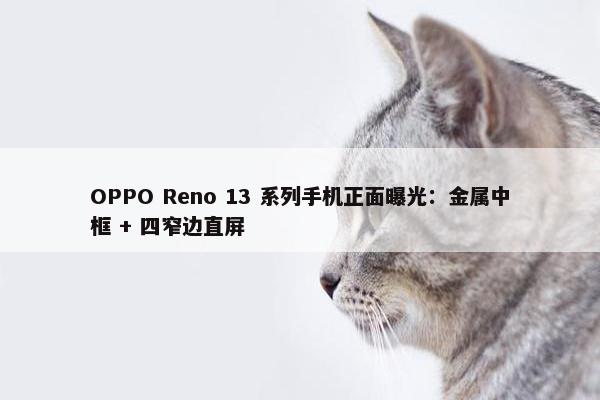 OPPO Reno 13 系列手机正面曝光：金属中框 + 四窄边直屏