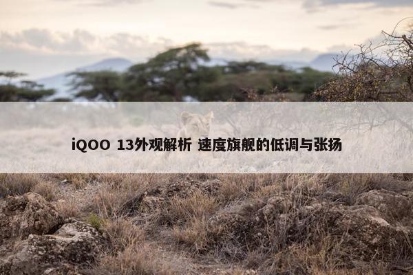 iQOO 13外观解析 速度旗舰的低调与张扬