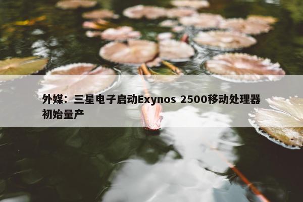 外媒：三星电子启动Exynos 2500移动处理器初始量产