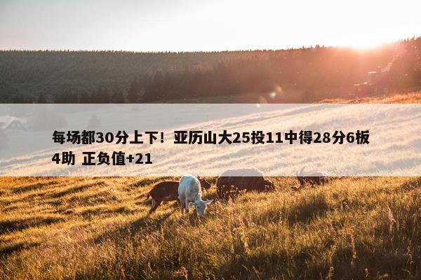 每场都30分上下！亚历山大25投11中得28分6板4助 正负值+21