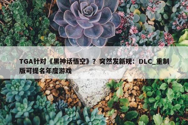 TGA针对《黑神话悟空》？突然发新规：DLC_重制版可提名年度游戏