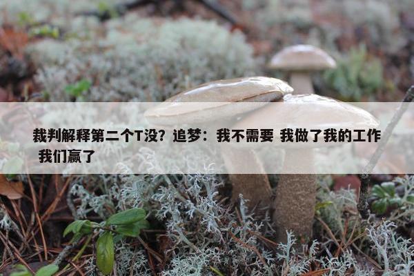 裁判解释第二个T没？追梦：我不需要 我做了我的工作 我们赢了