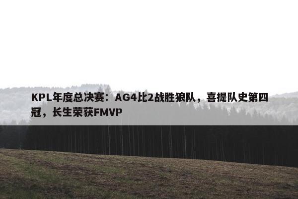 KPL年度总决赛：AG4比2战胜狼队，喜提队史第四冠，长生荣获FMVP