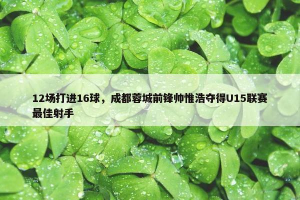 12场打进16球，成都蓉城前锋帅惟浩夺得U15联赛最佳射手