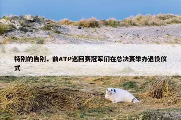 特别的告别，前ATP巡回赛冠军们在总决赛举办退役仪式