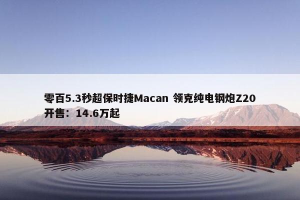 零百5.3秒超保时捷Macan 领克纯电钢炮Z20开售：14.6万起