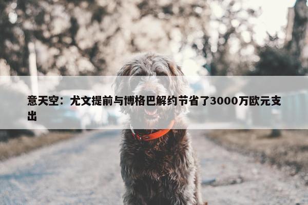 意天空：尤文提前与博格巴解约节省了3000万欧元支出