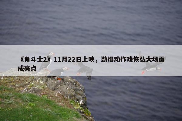 《角斗士2》11月22日上映，劲爆动作戏恢弘大场面成亮点