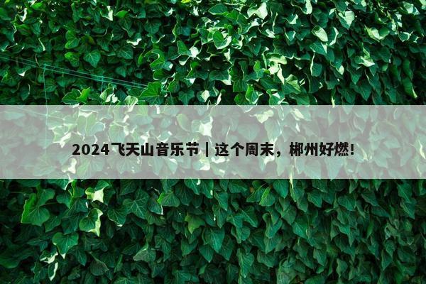 2024飞天山音乐节｜这个周末，郴州好燃！