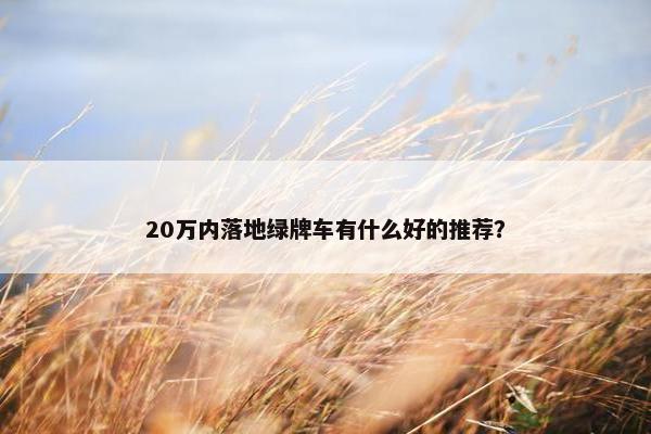 20万内落地绿牌车有什么好的推荐？