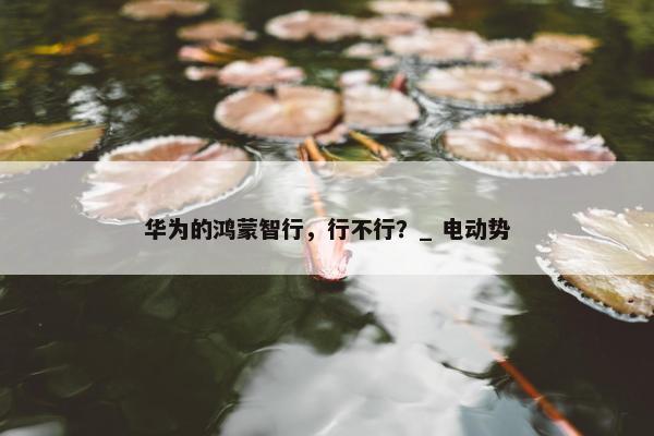 华为的鸿蒙智行，行不行？_ 电动势