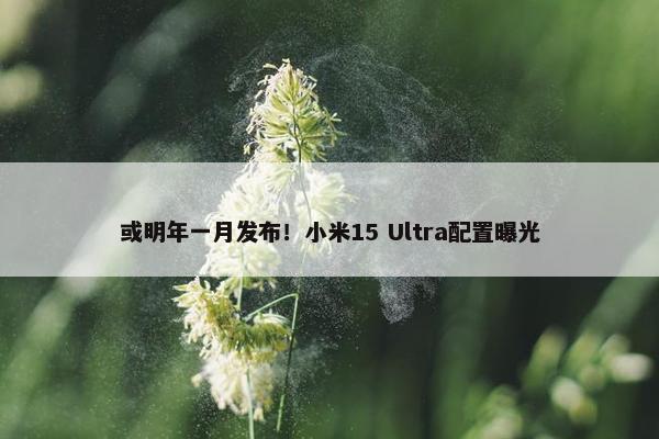 或明年一月发布！小米15 Ultra配置曝光