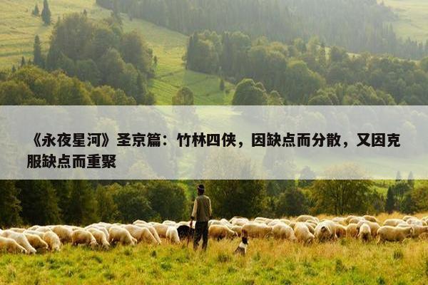 《永夜星河》圣京篇：竹林四侠，因缺点而分散，又因克服缺点而重聚