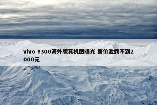 vivo Y300海外版真机图曝光 售价泄露不到2000元