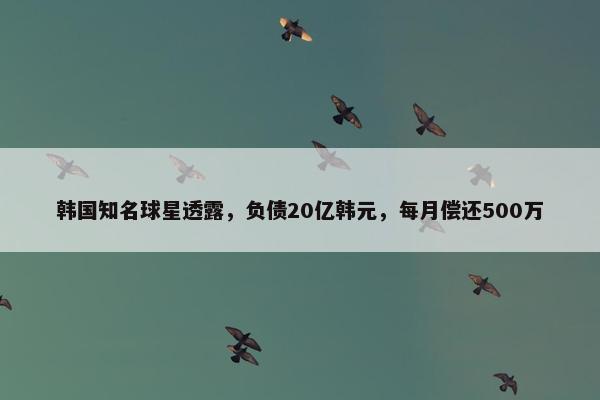 韩国知名球星透露，负债20亿韩元，每月偿还500万