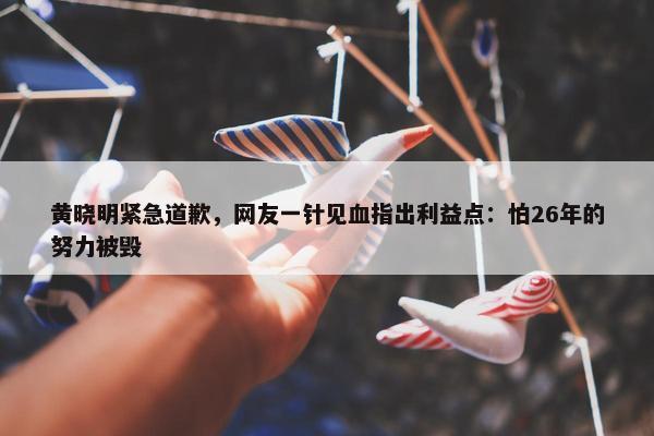 黄晓明紧急道歉，网友一针见血指出利益点：怕26年的努力被毁