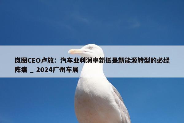 岚图CEO卢放：汽车业利润率新低是新能源转型的必经阵痛 _ 2024广州车展