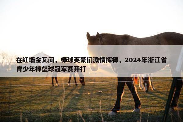 在红墙金瓦间，棒球英豪们激情挥棒，2024年浙江省青少年棒垒球冠军赛开打