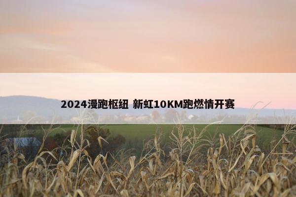 2024漫跑枢纽 新虹10KM跑燃情开赛