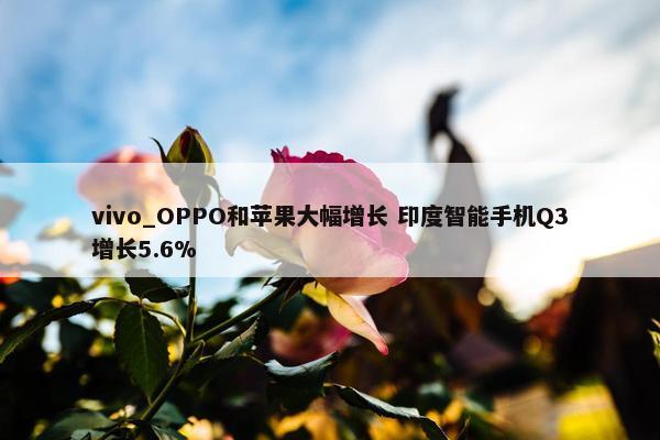 vivo_OPPO和苹果大幅增长 印度智能手机Q3增长5.6%