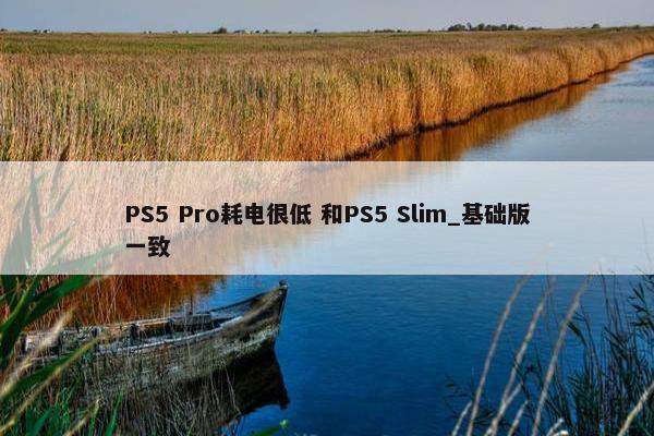 PS5 Pro耗电很低 和PS5 Slim_基础版一致