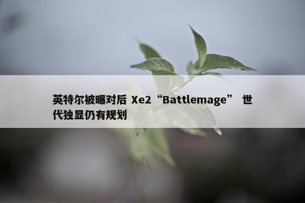 英特尔被曝对后 Xe2“Battlemage” 世代独显仍有规划