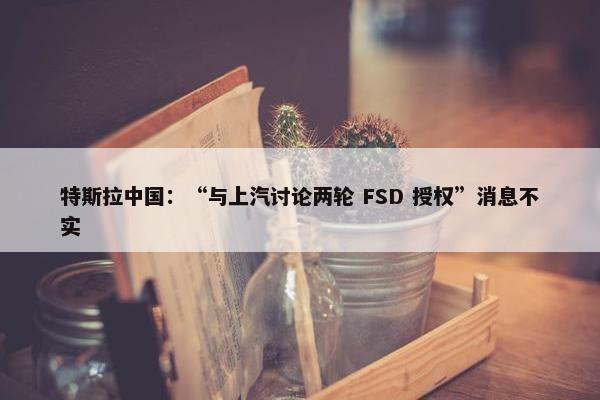 特斯拉中国：“与上汽讨论两轮 FSD 授权”消息不实