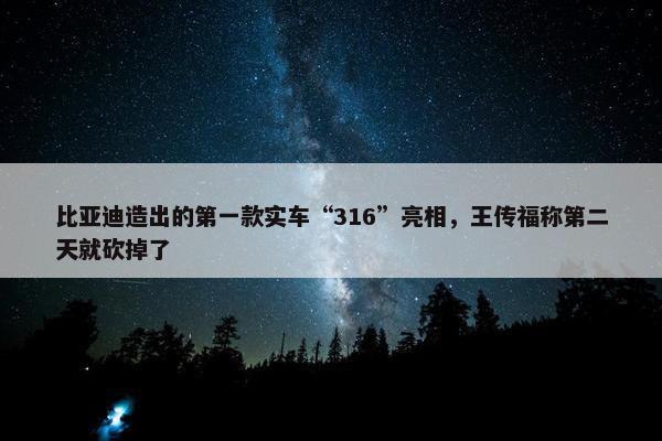 比亚迪造出的第一款实车“316”亮相，王传福称第二天就砍掉了