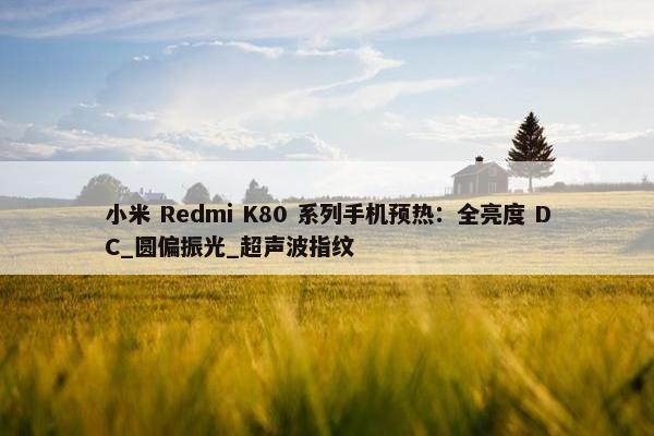 小米 Redmi K80 系列手机预热：全亮度 DC_圆偏振光_超声波指纹