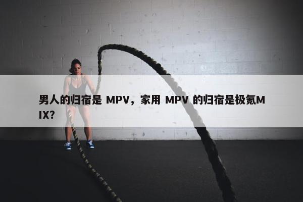 男人的归宿是 MPV，家用 MPV 的归宿是极氪MIX？