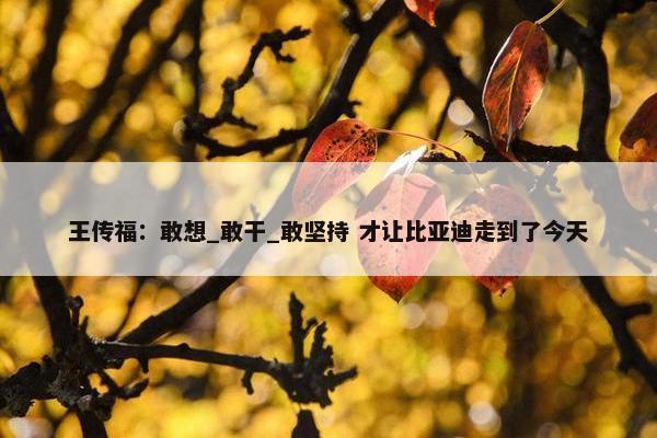 王传福：敢想_敢干_敢坚持 才让比亚迪走到了今天