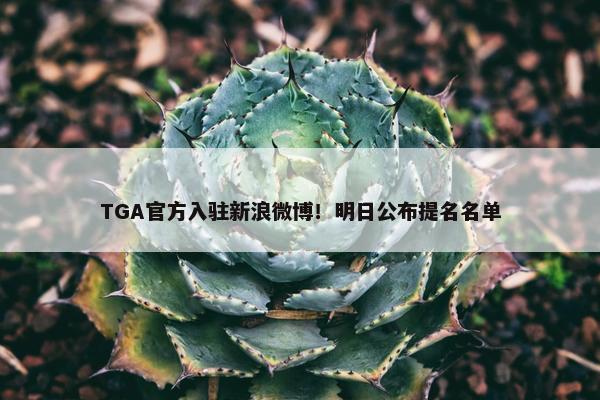 TGA官方入驻新浪微博！明日公布提名名单