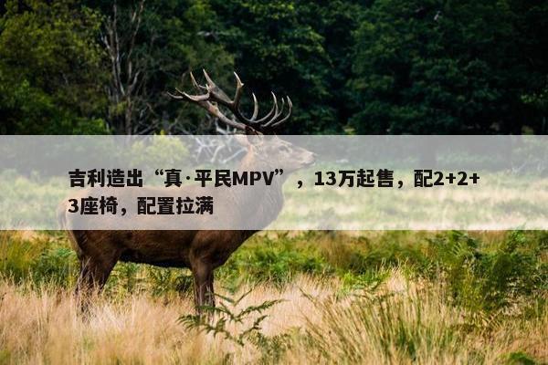 吉利造出“真·平民MPV”，13万起售，配2+2+3座椅，配置拉满