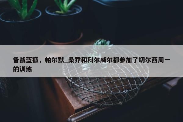 备战蓝狐，帕尔默_桑乔和科尔威尔都参加了切尔西周一的训练