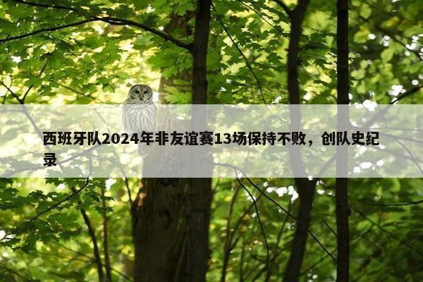 西班牙队2024年非友谊赛13场保持不败，创队史纪录