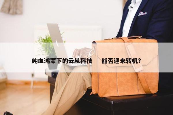 纯血鸿蒙下的云从科技    能否迎来转机？